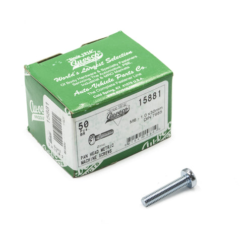 Screw, 6mm-1.00  30mm length, zinc plated, (50 Pack)